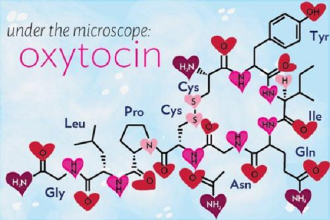 oxytocin-hormone-tinh-yeu